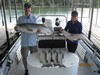(06/25/2017) - Nice Striped Bass